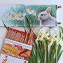 Talens Art Creation Étui de 24 Crayons de Couleur